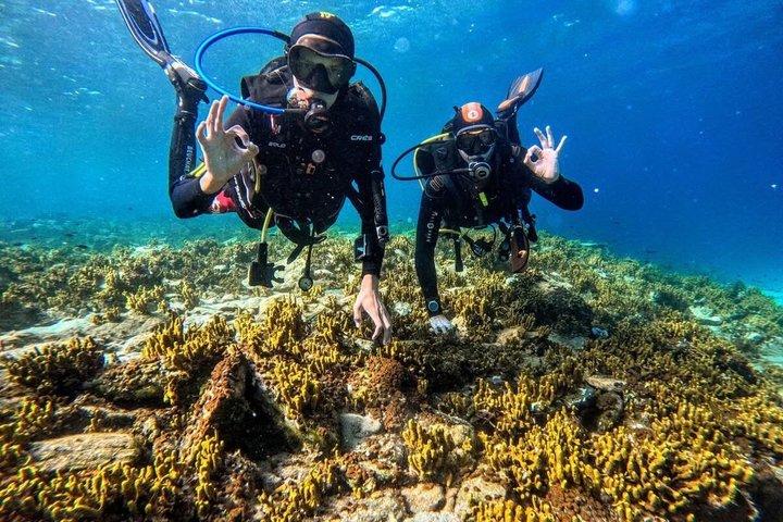PADI Discover Scuba Diving for Beginners at Ouranoupoli|Chalkidiki|Greece