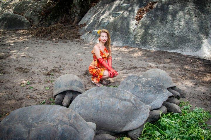 A Private Stone Town Walking Tour & Spice Farm Experience