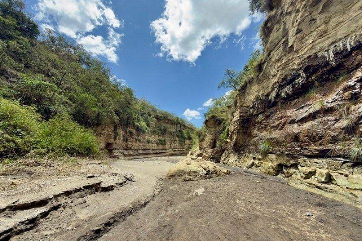Nairobi: Lake Nakuru National Park and Hell's Gate Safari