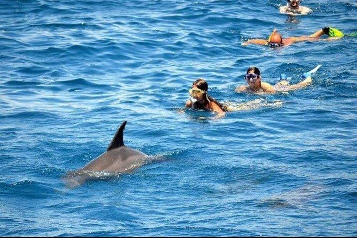 Dolphin House Full Day Snorkeling Cruise With Lunch – Hurghada