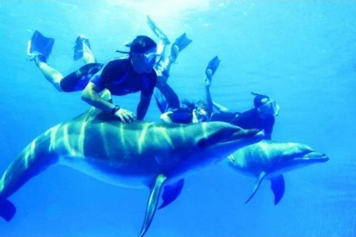 Dolphin House Full Day Snorkeling Cruise With Lunch – Hurghada