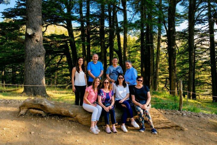 Private Qadisha Valley, Gibran Museum & Cedars Tour | Beirut