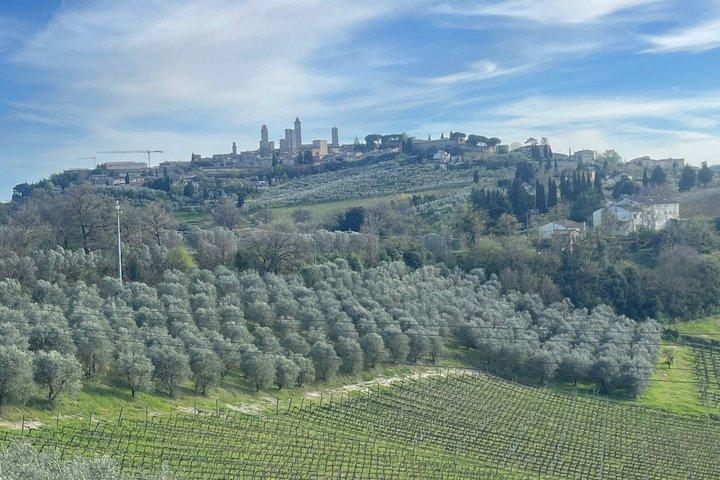 [MAX 8pp] Gelato, Wine & Cheese in San Gimignano from Florence