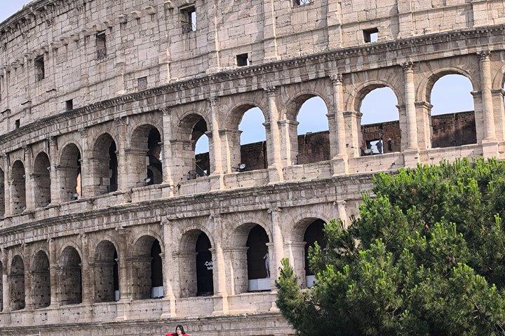 Ancient Rome: Colosseum, Forum & Palatine Hill Tour
