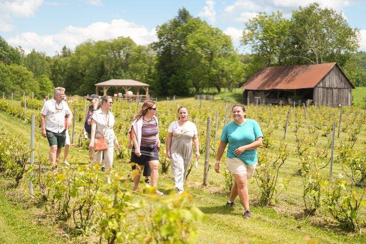 Petite Nation Wine & Cider Tour - Day Trip From Ottawa & Gatineau
