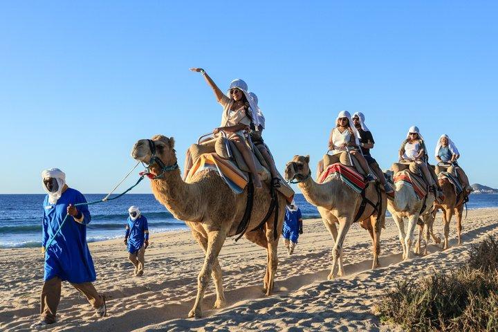 Cabo Camel Safari & FREE Beach ATV Adventure and Tequila Tasting