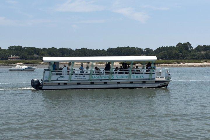 90 Minute Tour to See Dolphins in Hilton Head Island