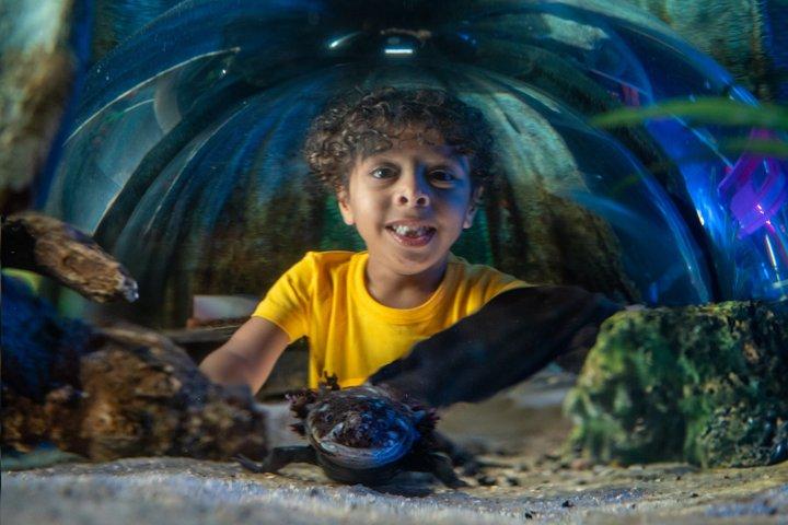 SEA LIFE Orlando Aquarium Admission Ticket at ICON Park