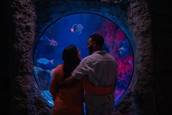 SEA LIFE Orlando Aquarium Admission Ticket at ICON Park