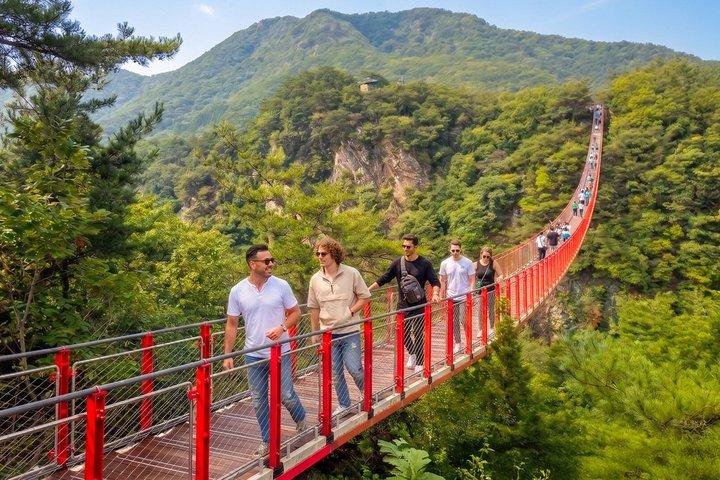 DMZ Guided Tour & North Korean Defector/Suspension Bridge