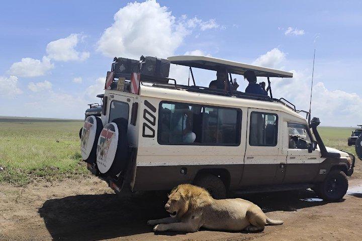 3 days Masai Mara Kenya Safari Private Safari