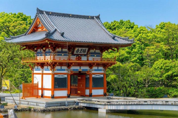 Osaka / Kyoto: Katsuoji, Arashiyama & Kinkaku-ji One Day Tour