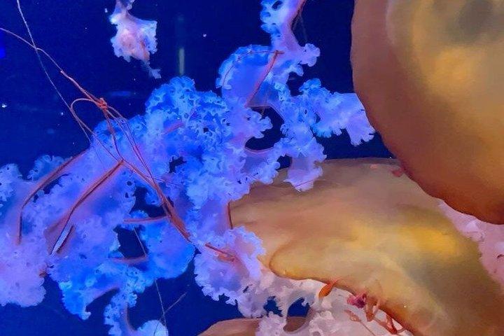 Aquarium de Paris Entry Ticket