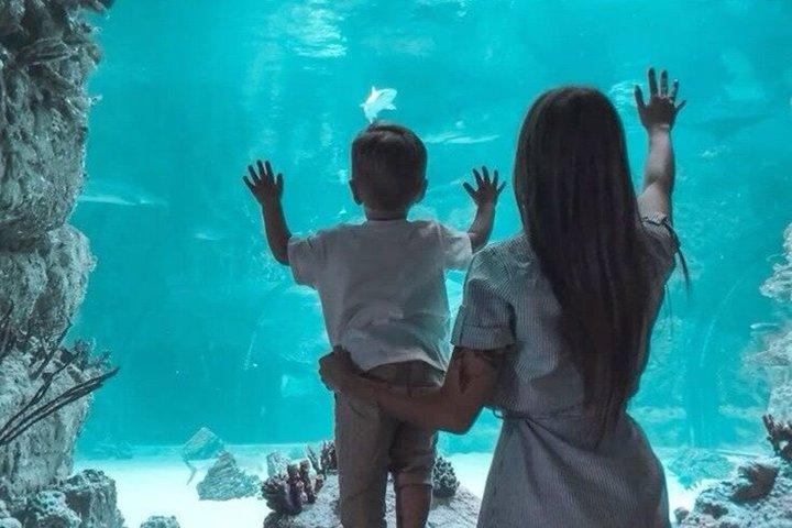 Aquarium de Paris Entry Ticket