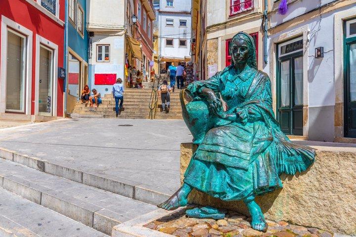 Guided Walking Tour of Coimbra University's Attractions