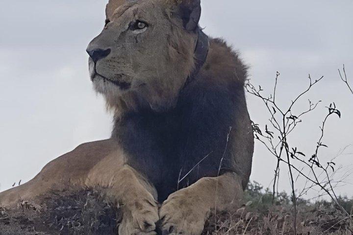 10 Day Kenya Safari Tour Adventure