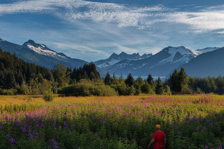 Juneau Self Guided Audio Tour Glaciers Trails and Gold