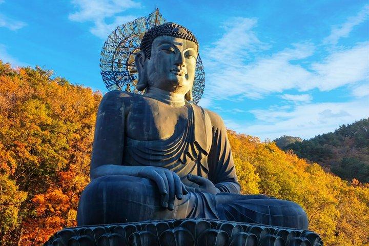Seoraksan Park and Naksansa Temple Culture Tour from Seoul