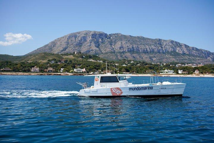 Excursion to the Cova Tallada with optional swimming stop Denia