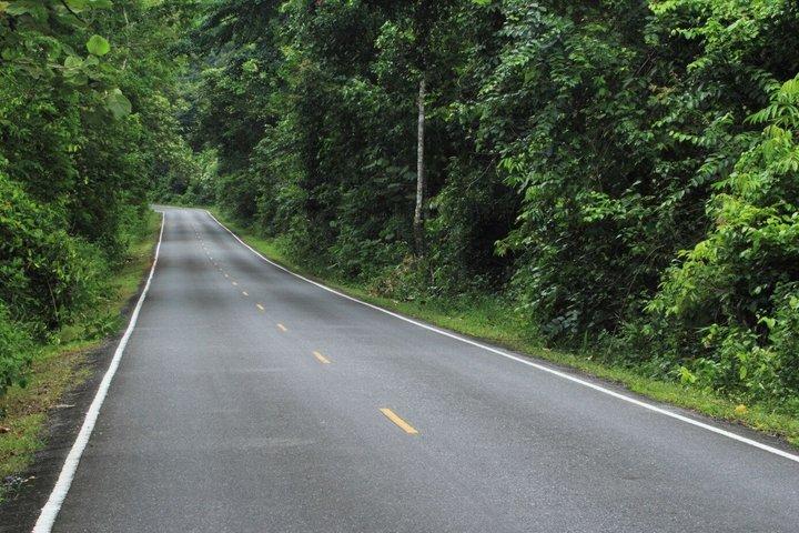 Khao Yai National Park and Waterfalls Tour from Bangkok