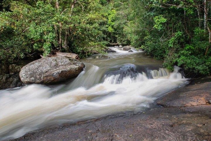 Khao Yai National Park and Waterfalls Tour from Bangkok