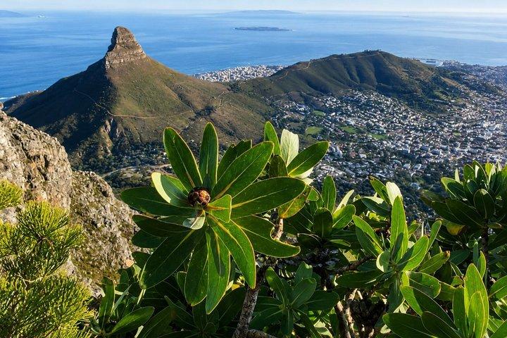 Table Mountain Hike via Platteklip Gorge at Sunrise