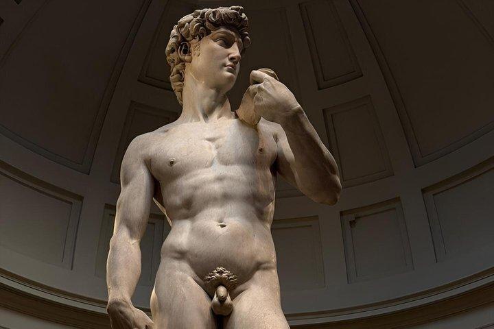Accademia Gallery : Priority Ticket to SKIP the General Line !