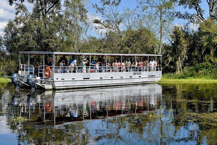 New Orleans Swamp and Bayou Alligator Tour