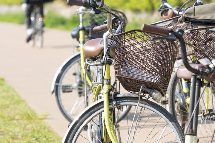 Kyoto E-Bike Tour: Fushimi Inari Shrine & Hidden Gems