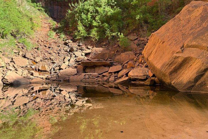 Zion National Park: Private Guided Hike & Picnic