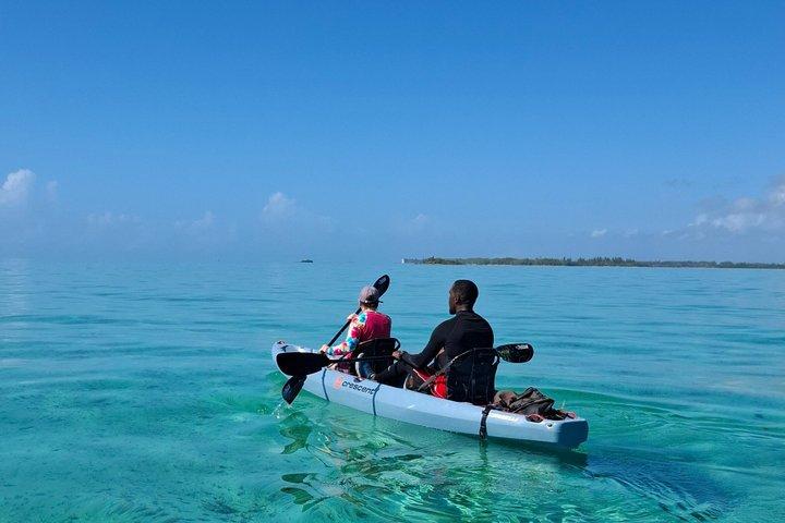 Nassau Kayaking Adventure: Snorkeling, Drinks & Small-Group Fun