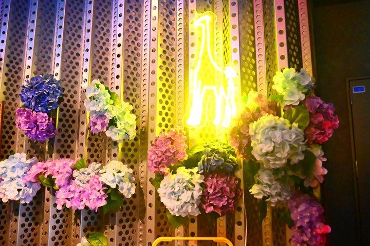Osaka Dotonbori: Giraffe Nightclub VIP Package(For Foreign)