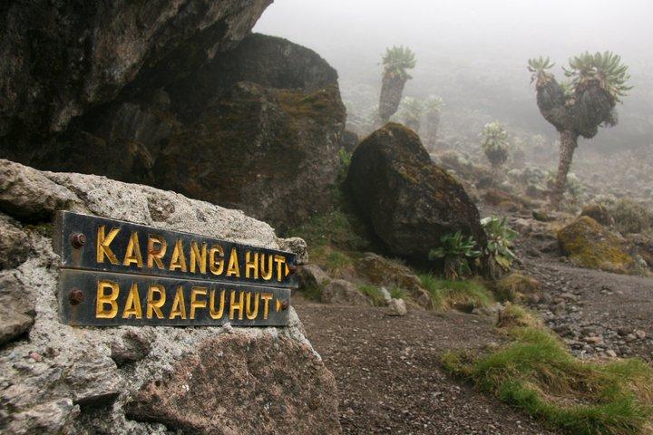 Mount Kilimanjaro Climbing Tour Machame Route