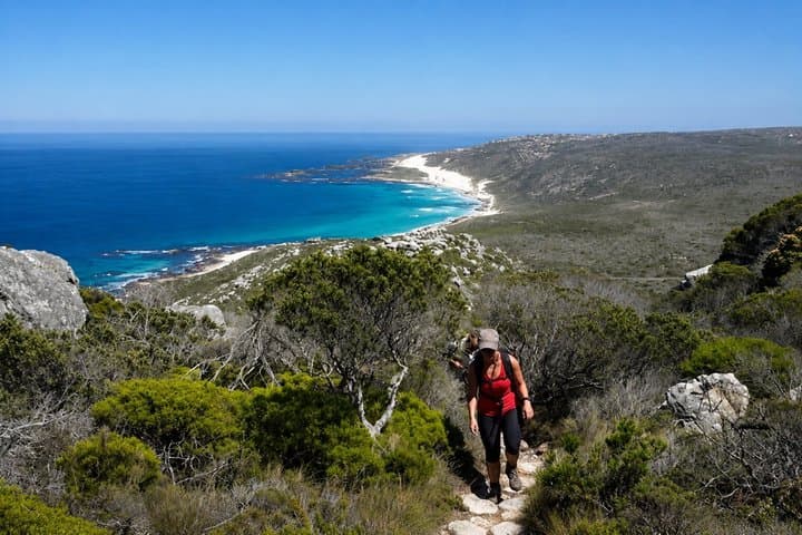 Hiking Cape of Good hope, Cape Point & Penguins Private Full Day