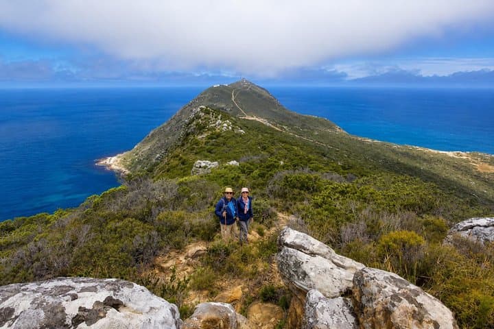 Hiking Cape of Good hope, Cape Point & Penguins Private Full Day