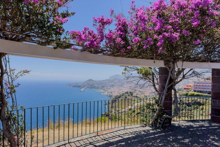 Private Funchal Scenic Views & Hidden Streets Tuk-Tuk Tour