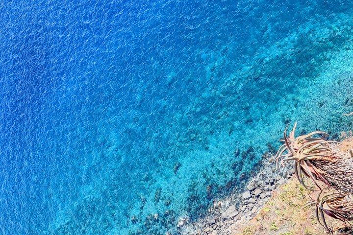 Private Funchal Scenic Views & Hidden Streets Tuk-Tuk Tour