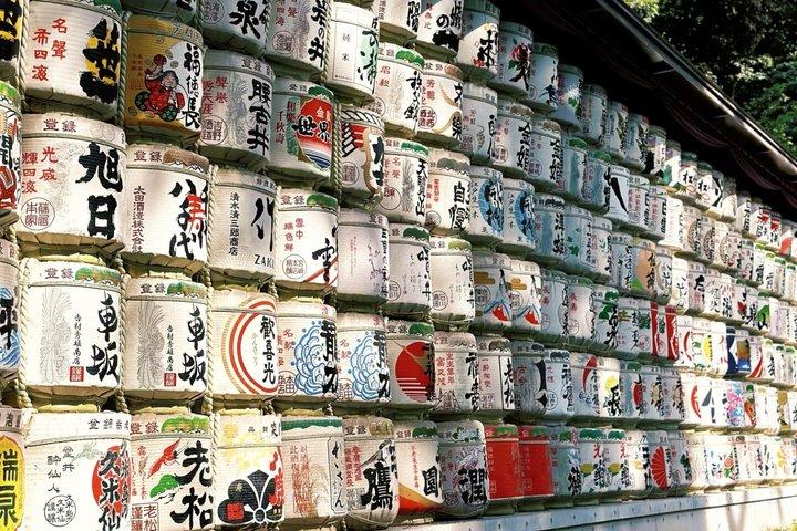 Tokyo Private Highlights Customizable Tour with English Driver