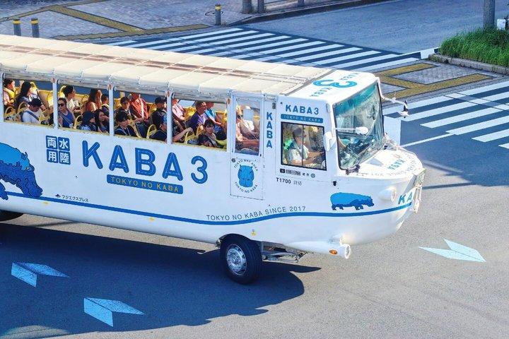 Tokyo Private Highlights Customizable Tour with English Driver
