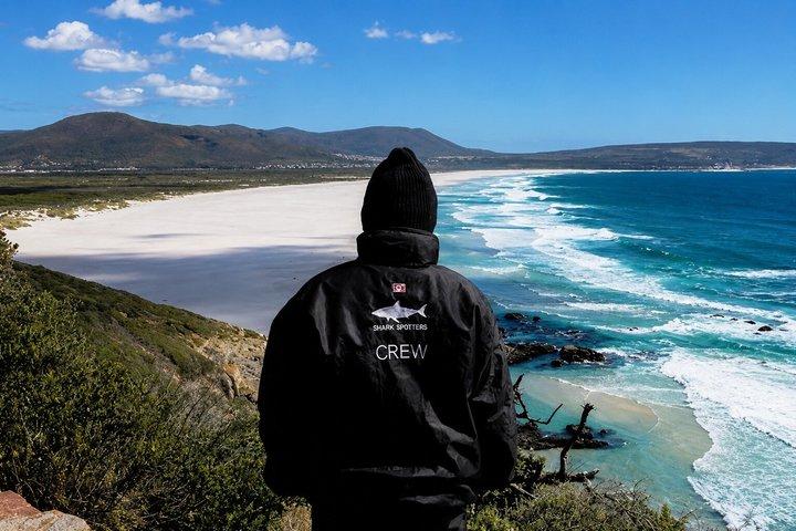 Cape of Good Hope, Cape Point & Penguins Private Morning Tour