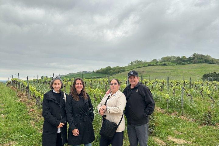 Gaillac Wine Tour Small Group Half Day Tour From Toulouse