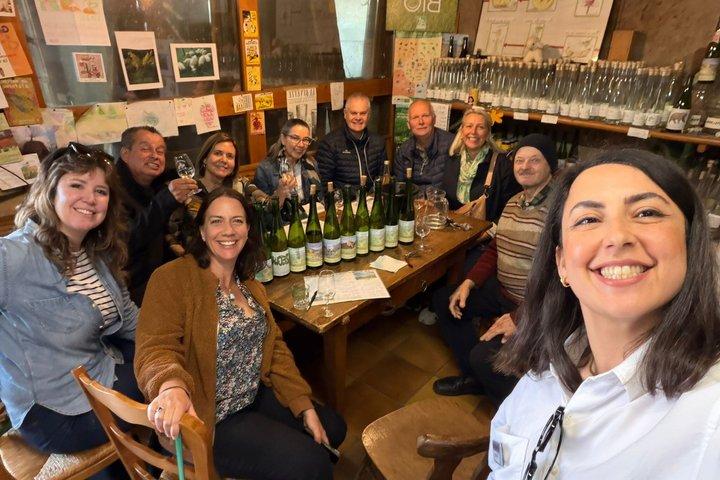 Alsace Wine Route Wineries & Tasting Small Group Guided Tour from Strasbourg