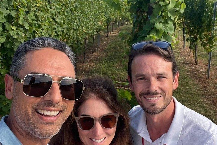 Alsace Wine Route Small Group Half-Day Tour with Tasting from Strasbourg