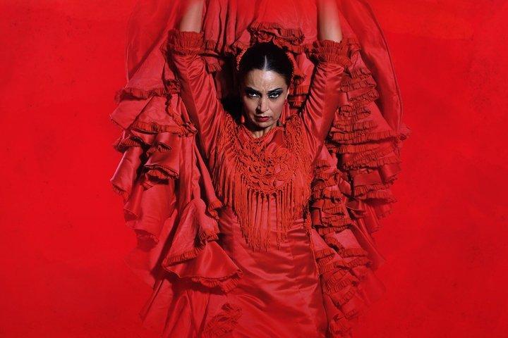The Premium Experience at Teatro Flamenco Granada
