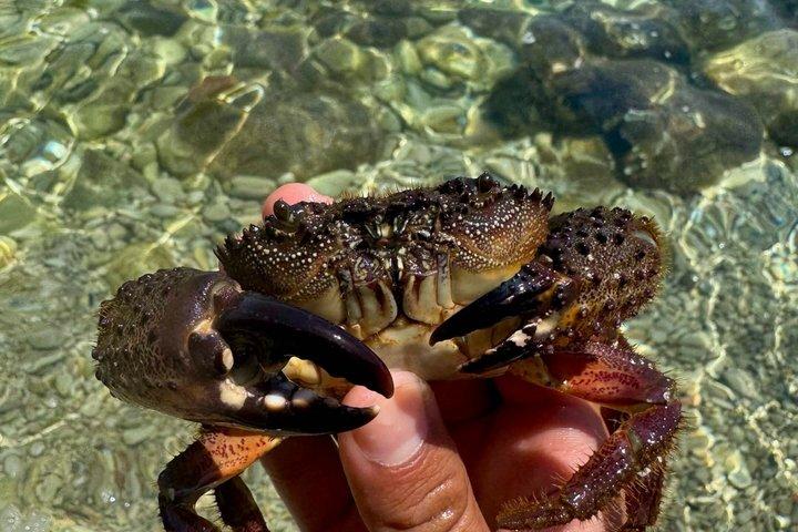 Private Full-Day Calanques Tour: St-Cyr to Cassis