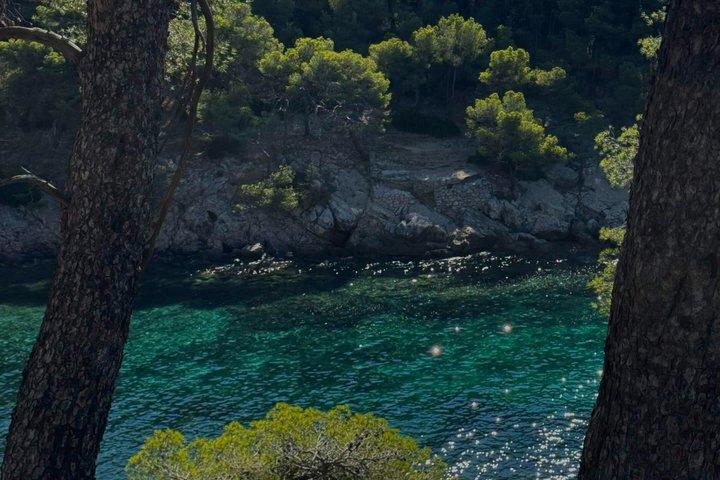 Private Full-Day Calanques Tour: St-Cyr to Cassis
