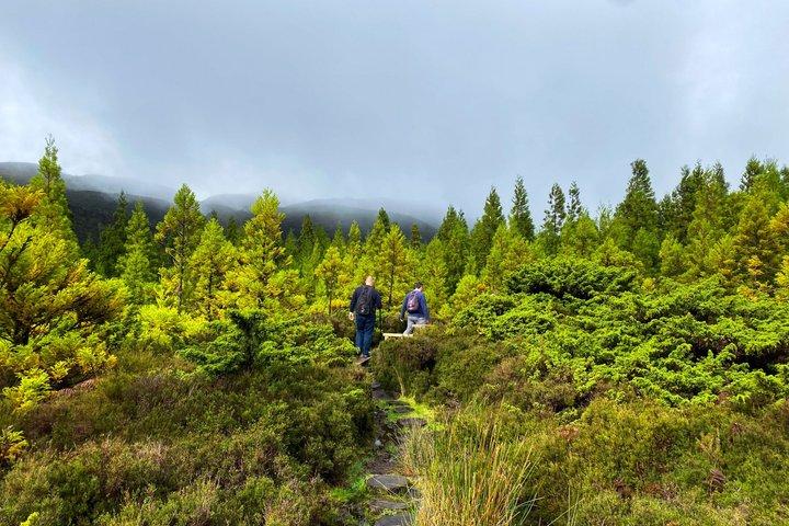 Terceira Island: Mistérios Negros Hike + Picnic + Biscoitos