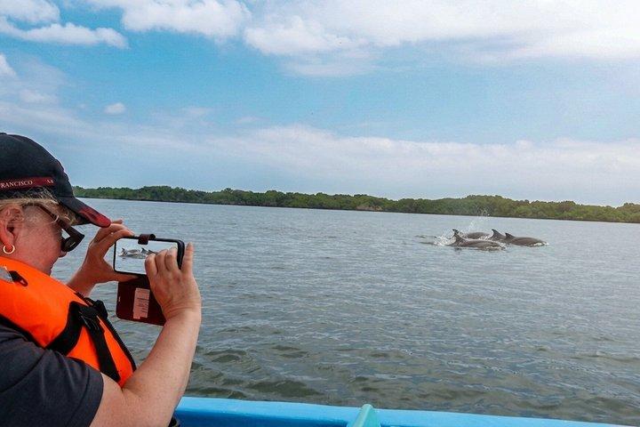 Full Day Dolphins Mangroves and Birdwatching Tour from Guayaquil