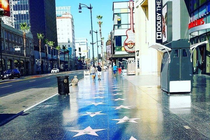 5-Hour Hollywood and Beverly Hills Tour with 4 Stops