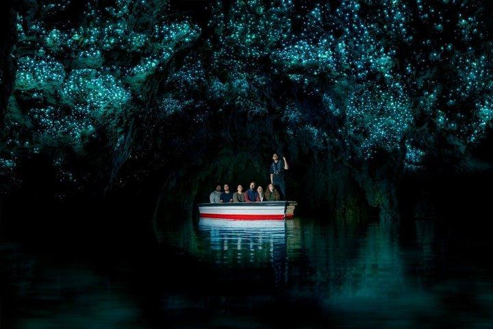 Hobbiton & Waitomo Caves Day Tour with Lunch from Auckland